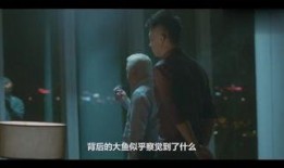 大哥在线观看,揭秘网络直播界的传奇人物